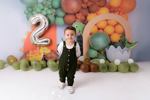 smash the cake menino 2 anos dinossauro santo andré '