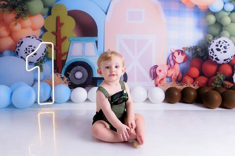 ensaio bebê de um aninho tema fazendinha bairro campestre santo andré'