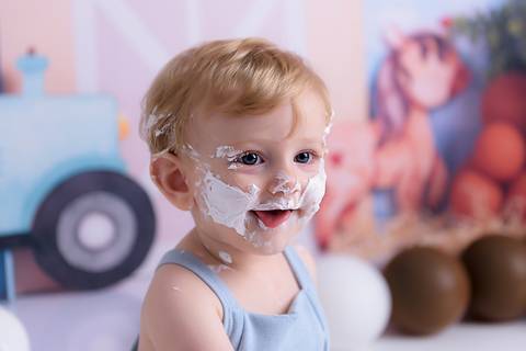 smash the cake menino um aninho santo andré'