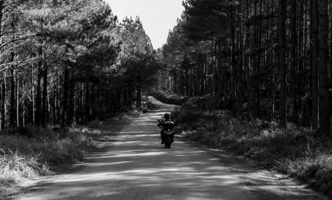 Balsa Nova / Paraná'