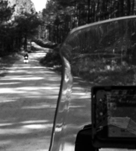 Balsa Nova / Paraná'