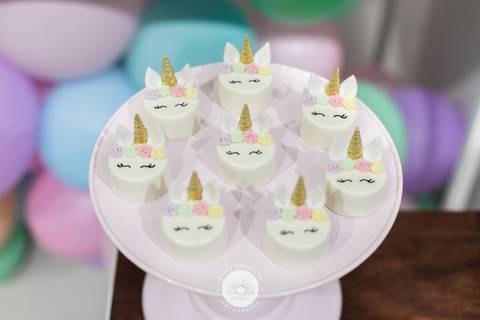 fotografo profissional aniversario joinville deise daisy dayse evaristo pety paio unicornio Alicia 6 anos'