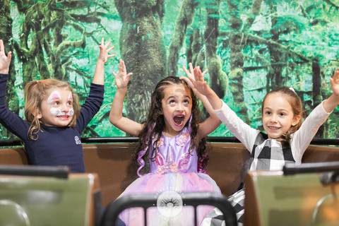 fotografo profissional aniversario joinville deise daisy dayse evaristo pety paio unicornio Alicia 6 anos'