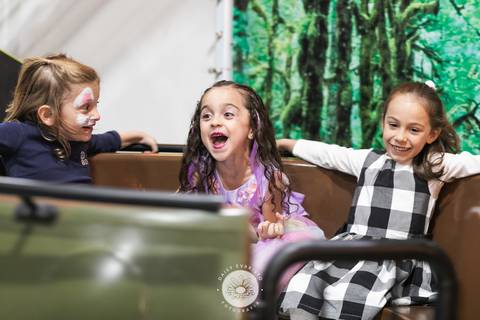 fotografo profissional aniversario joinville deise daisy dayse evaristo pety paio unicornio Alicia 6 anos'