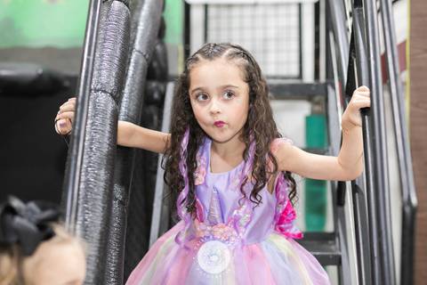 fotografo profissional aniversario joinville deise daisy dayse evaristo pety paio unicornio Alicia 6 anos'