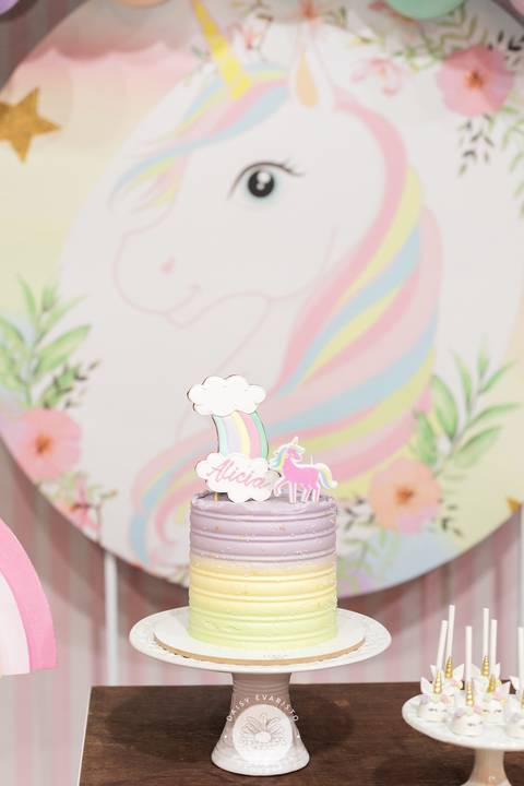 fotografo profissional aniversario joinville deise daisy dayse evaristo pety paio unicornio Alicia 6 anos'