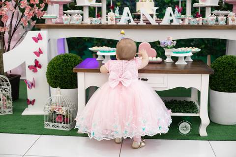 fotografo aniversario joinville festere deise daisy evaristo Ana Julia 1 ano'