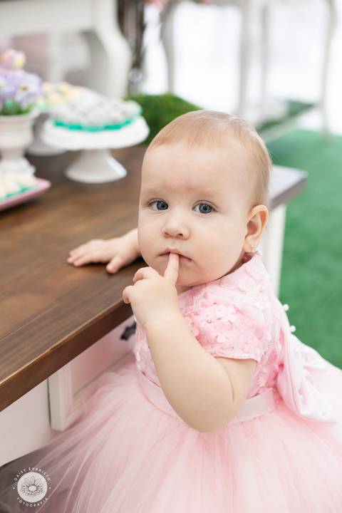 fotografo aniversario joinville festere deise daisy evaristo Ana Julia 1 ano'