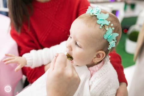 fotografo aniversario joinville festere deise daisy evaristo Ana Julia 1 ano'