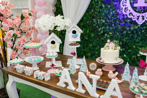 fotografo aniversario joinville festere deise daisy evaristo Ana Julia 1 ano'