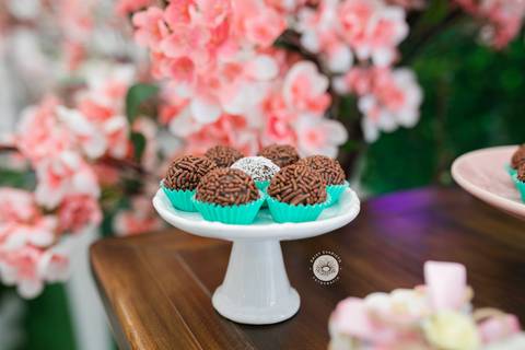 fotografo aniversario joinville festere deise daisy evaristo Ana Julia 1 ano'