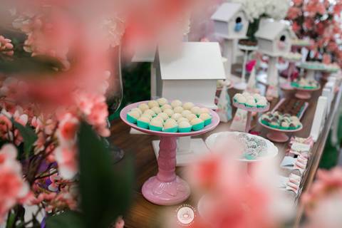 fotografo aniversario joinville festere deise daisy evaristo Ana Julia 1 ano'