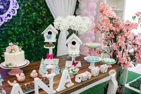 fotografo aniversario joinville festere deise daisy evaristo Ana Julia 1 ano'