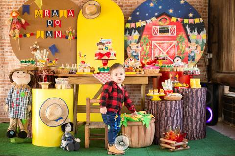 fotografo profissional aniversario joinville decoração festa junina simba festas ian 2 anos'