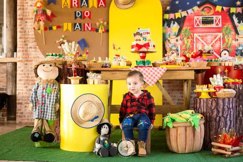 fotografo profissional aniversario joinville decoração festa junina simba festas ian 2 anos'