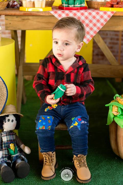 fotografo profissional aniversario joinville decoração festa junina simba festas ian 2 anos'