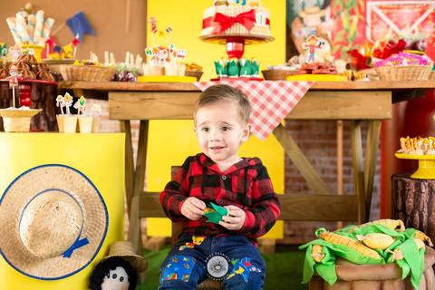 fotografo profissional aniversario joinville decoração festa junina simba festas ian 2 anos'