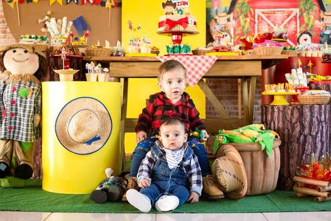 fotografo profissional aniversario joinville decoração festa junina simba festas ian 2 anos'