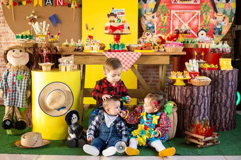 fotografo profissional aniversario joinville decoração festa junina simba festas ian 2 anos'