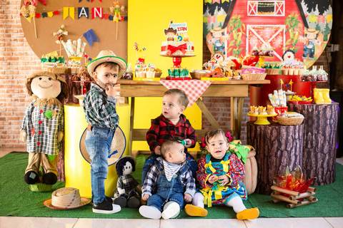 fotografo profissional aniversario joinville decoração festa junina simba festas ian 2 anos'