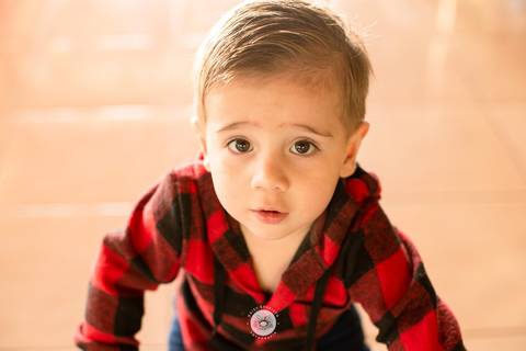 fotografo profissional aniversario joinville decoração festa junina simba festas ian 2 anos'