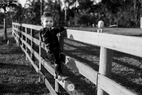 fotografo profissional aniversario joinville decoração festa junina simba festas ian 2 anos'