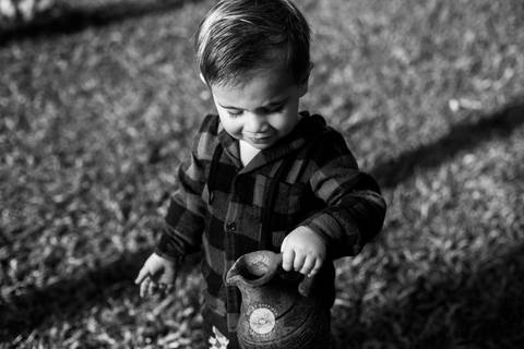 fotografo profissional aniversario joinville decoração festa junina simba festas ian 2 anos'