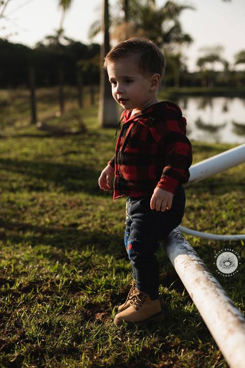 fotografo profissional aniversario joinville decoração festa junina simba festas ian 2 anos'