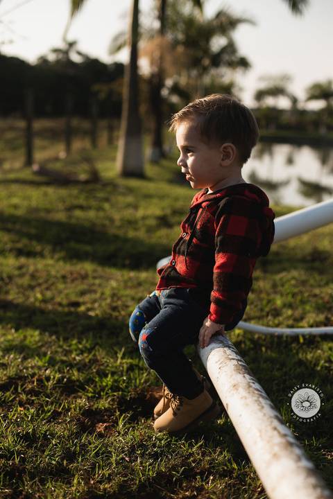 fotografo profissional aniversario joinville decoração festa junina simba festas ian 2 anos'