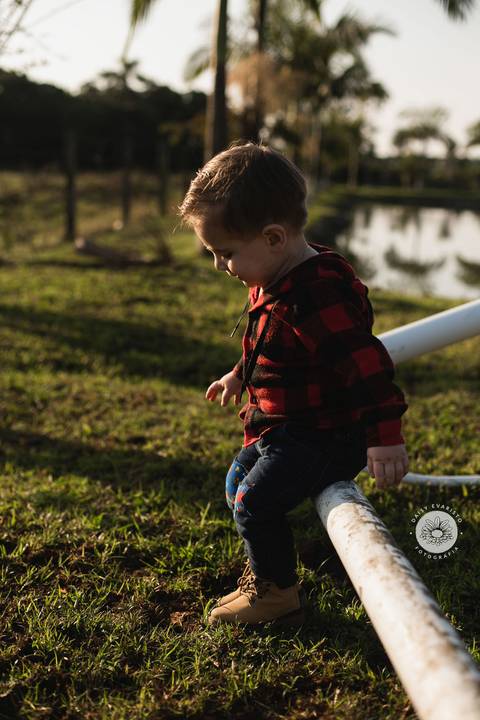 fotografo profissional aniversario joinville decoração festa junina simba festas ian 2 anos'