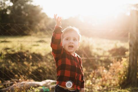 fotografo profissional aniversario joinville decoração festa junina simba festas ian 2 anos'