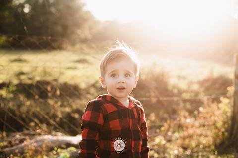 fotografo profissional aniversario joinville decoração festa junina simba festas ian 2 anos'