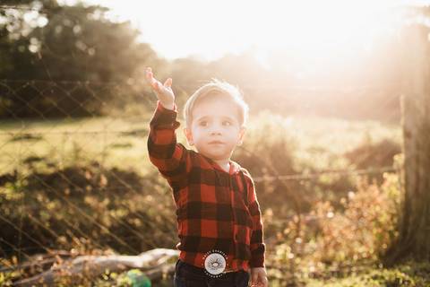 fotografo profissional aniversario joinville decoração festa junina simba festas ian 2 anos'