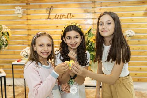 fotografo profissional aniversario  pinta e borda joinville decoração girassol luisa 11 anos'