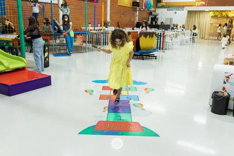 fotografo profissional aniversario  pinta e borda joinville decoração girassol luisa 11 anos'