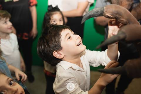 fotografo profissional em joinville daisy evaristo festa aniversario infantil miguel 5 anos adventure park'