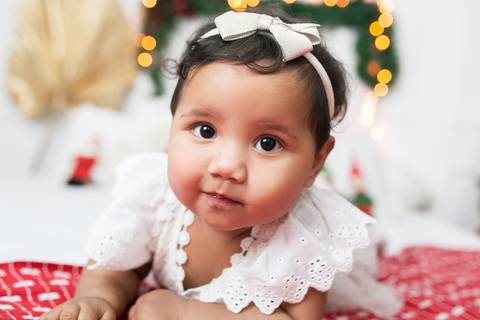 sessão de natal em estúdio fotografico joinville daisy evaristo'