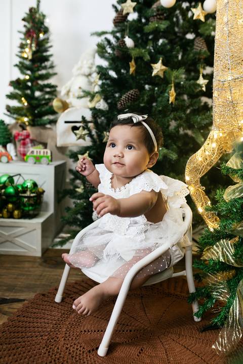 sessão de natal em estúdio fotografico joinville daisy evaristo'