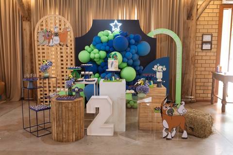 fotografo profissional em joinville aniversario friedmann platz thales 1 ano'