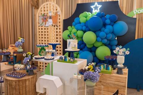 fotografo profissional em joinville aniversario friedmann platz thales 1 ano'