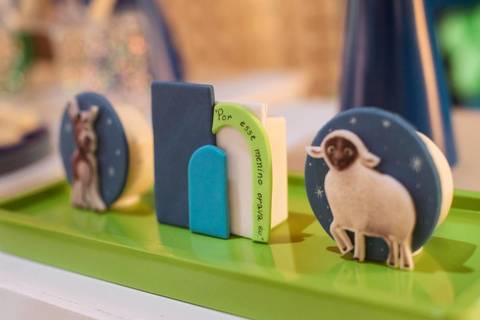 fotografo profissional em joinville aniversario friedmann platz thales 1 ano'