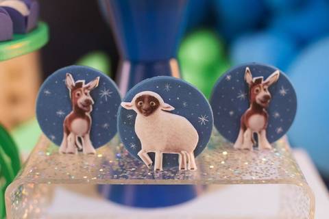 fotografo profissional em joinville aniversario friedmann platz thales 1 ano'