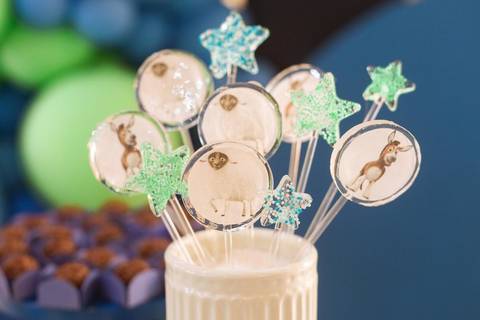 fotografo profissional em joinville aniversario friedmann platz thales 1 ano'