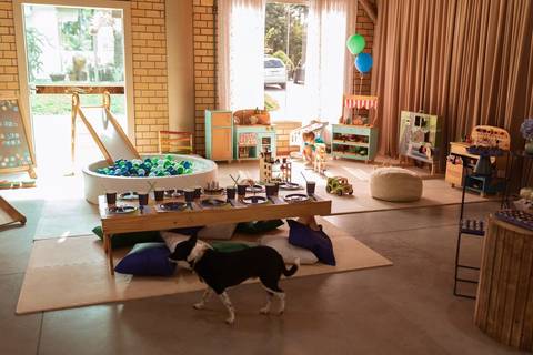 fotografo profissional em joinville aniversario friedmann platz thales 1 ano'