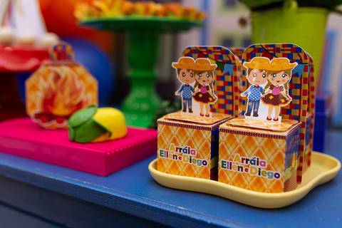 fotografo joinville, fotografo profissional, aniversario, fotografo de aniversario joinville, estudio de fotografia joinville, casa de festa festere joinville, in festa buffet joinville,Diego e Ellen , festa de aniversário Julina'