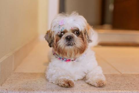 fotografo joinville, fotografo profissional, aniversario, fotografo de aniversario joinville, estudio de fotografia joinville, aniversario em casa, festa do pijama neon, festa afetiva'