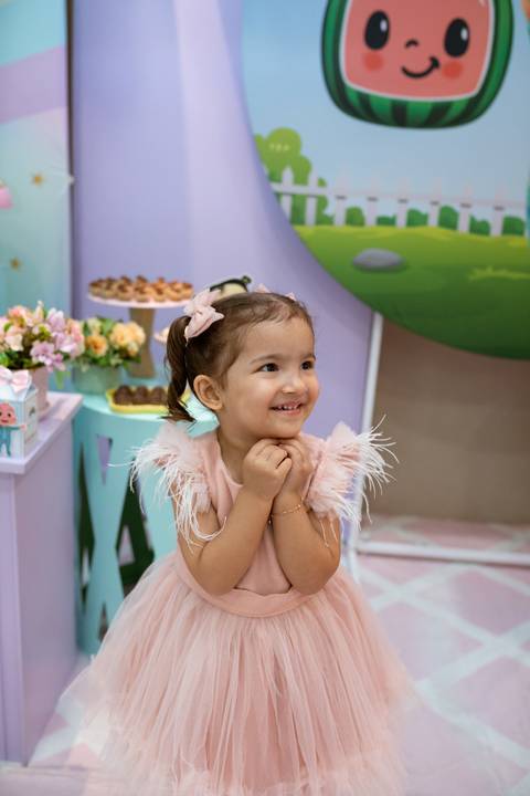 daisy evaristo fotografo joinville aniversario Camily 3 anos in festa'