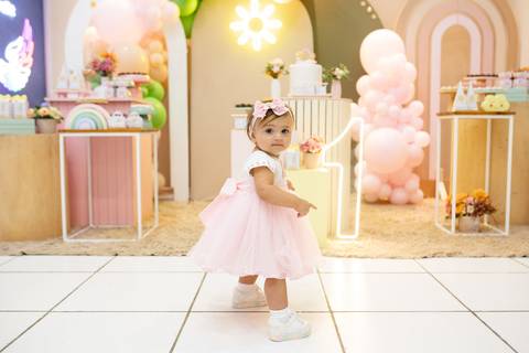 daisy evaristo fotografo joinville aniversario maria clara 1 ano in festa'