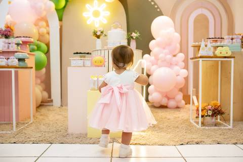 daisy evaristo fotografo joinville aniversario maria clara 1 ano in festa'