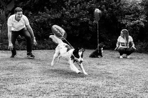 fotografo joinville casamento ensaio  pre-casamento  pre-wedding diferente lifestyle em casa noiva noivo cachorro pet mini wedding Fernanda Sander Lago da Serra Campo alegre noivos'